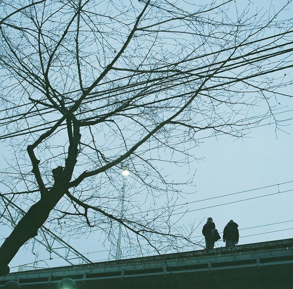 ブログ写真