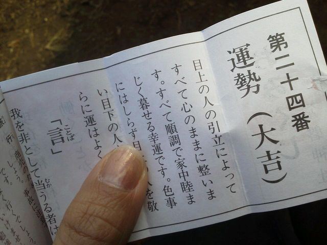 ブログ写真