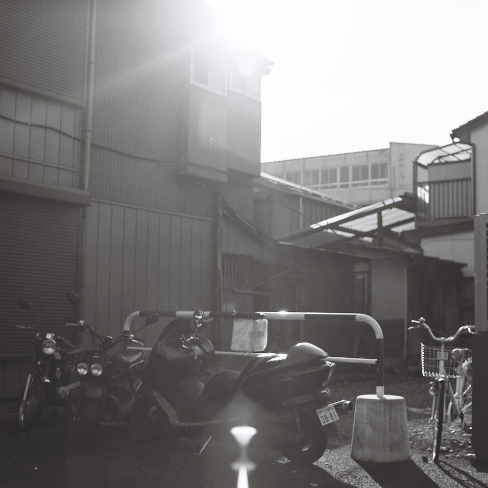 ブログ写真