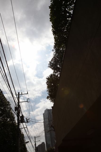 ブログ写真