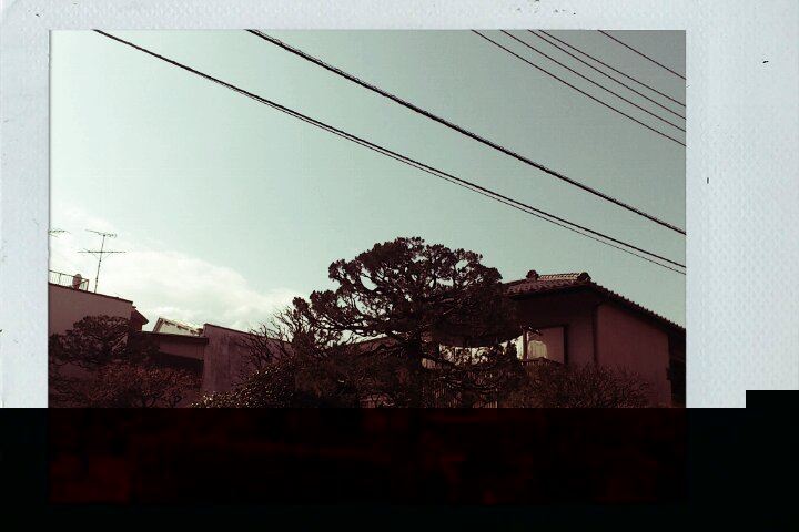 ブログ写真