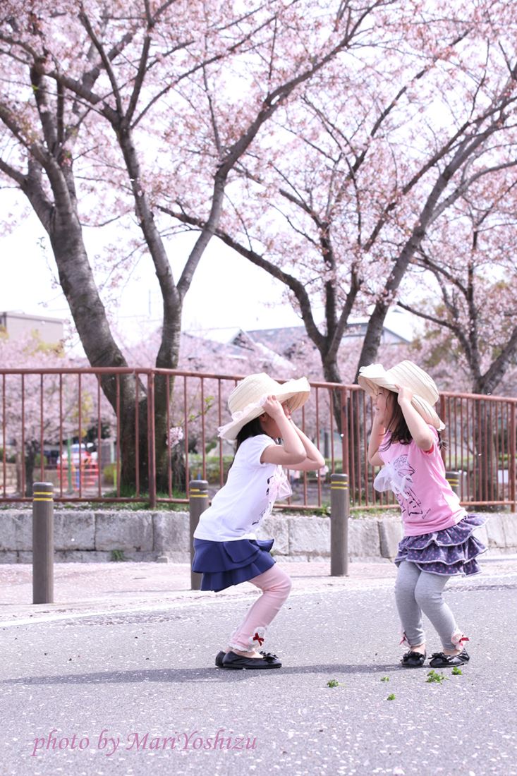 ブログ写真