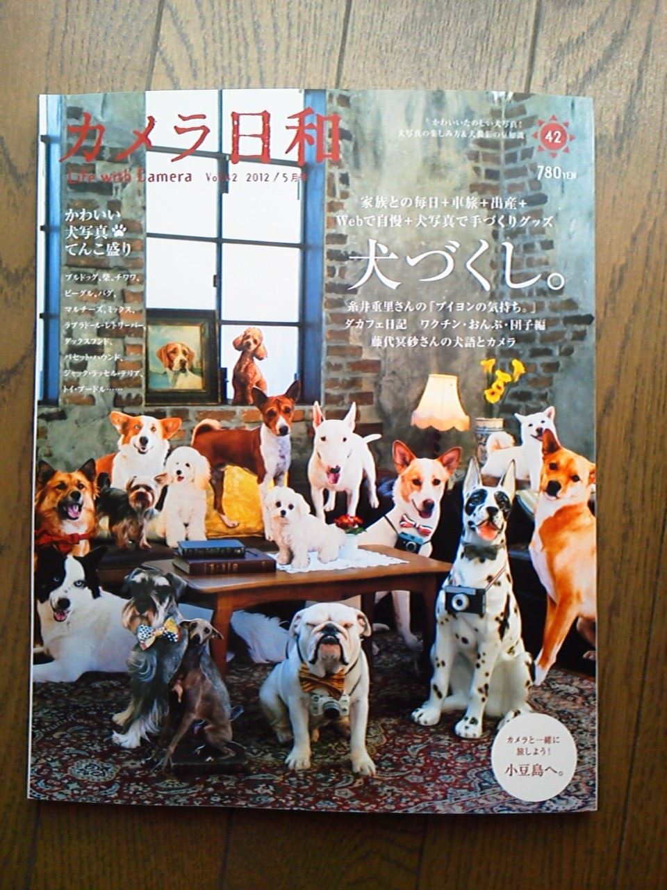 ブログ写真