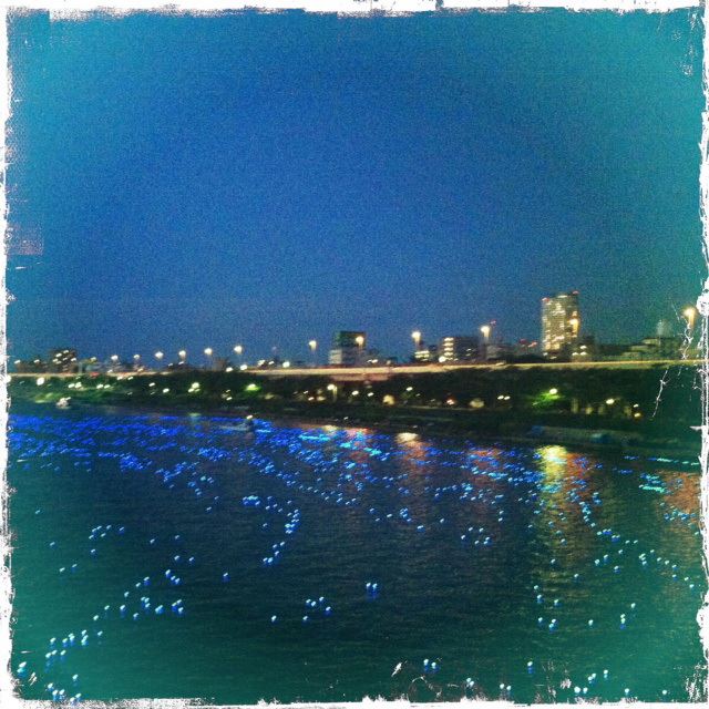 ブログ写真