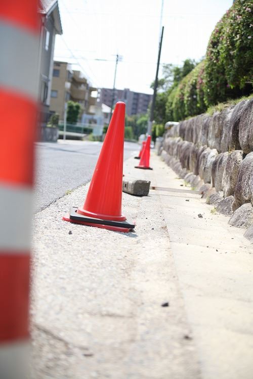 ブログ写真