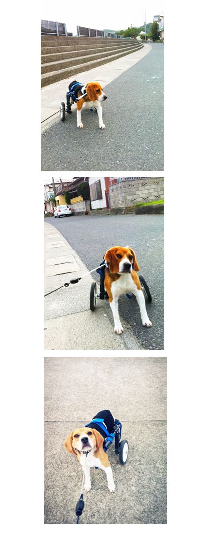 ブログ写真