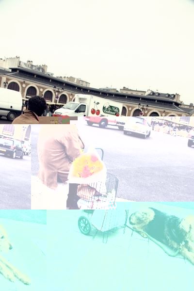 ブログ写真