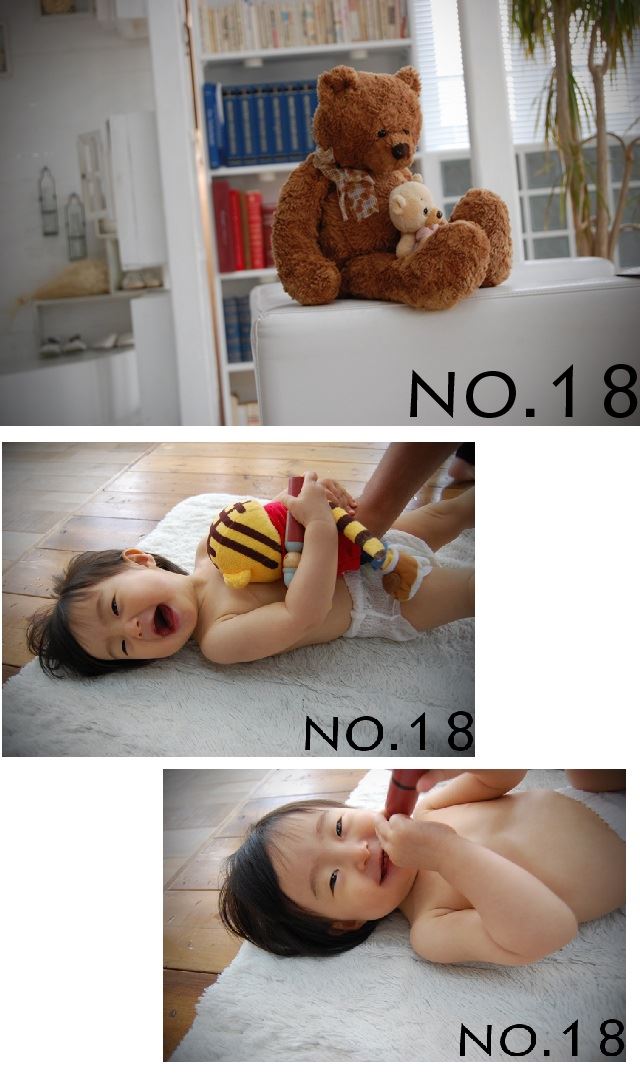 ブログ写真