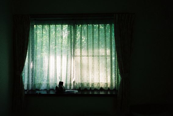 ブログ写真