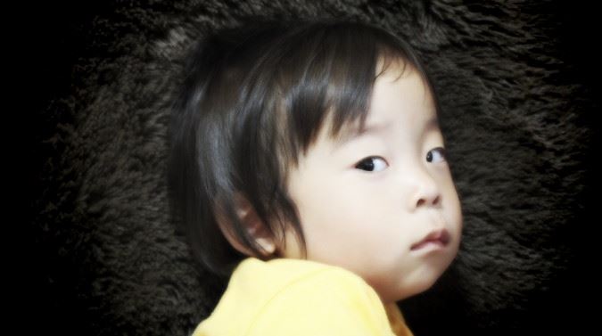 ブログ写真