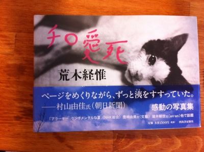 ブログ写真
