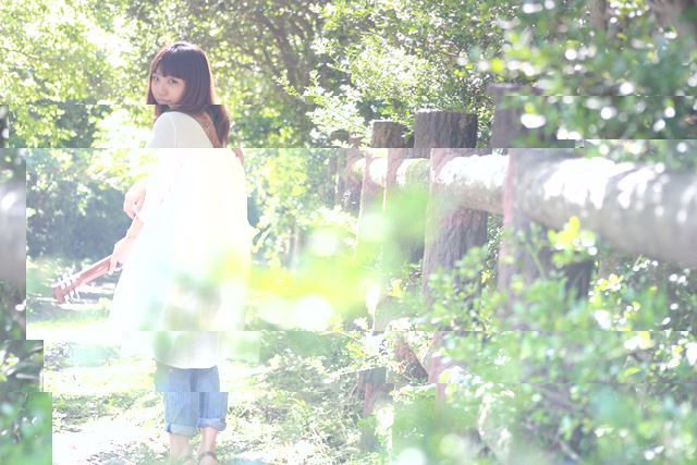 ブログ写真