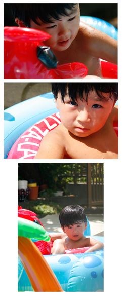ブログ写真