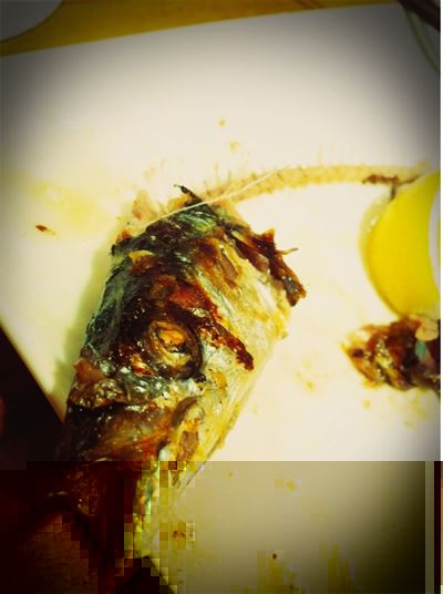 ブログ写真