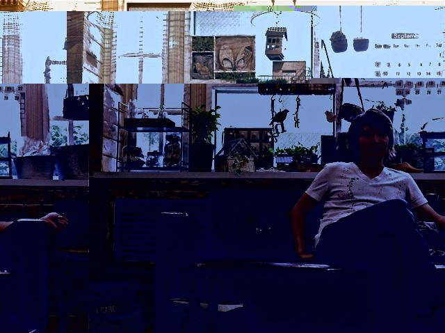 ブログ写真