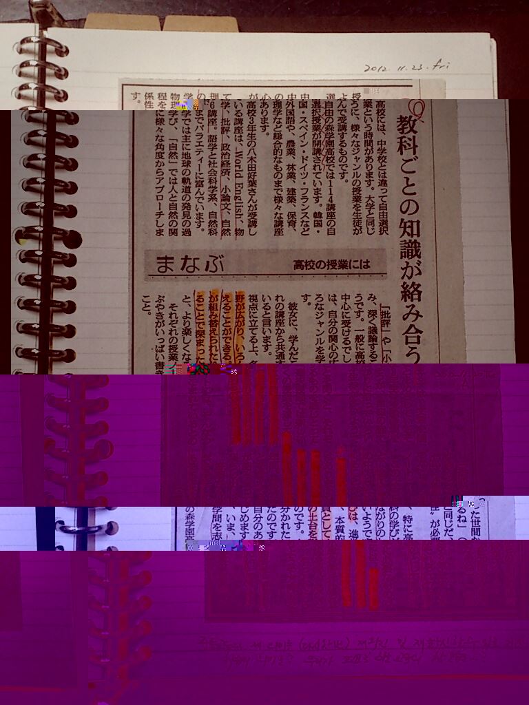 ブログ写真