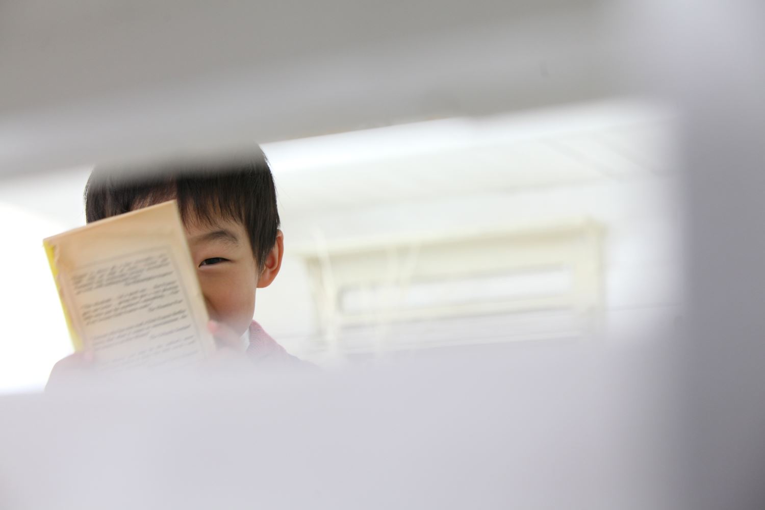 ブログ写真