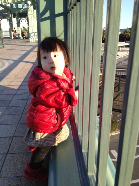 ブログ写真