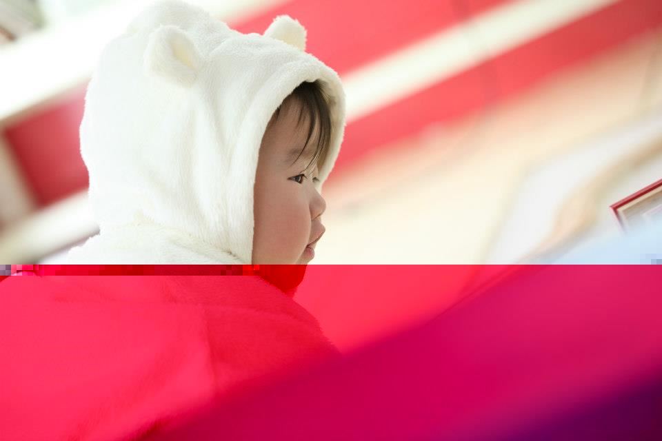 ブログ写真