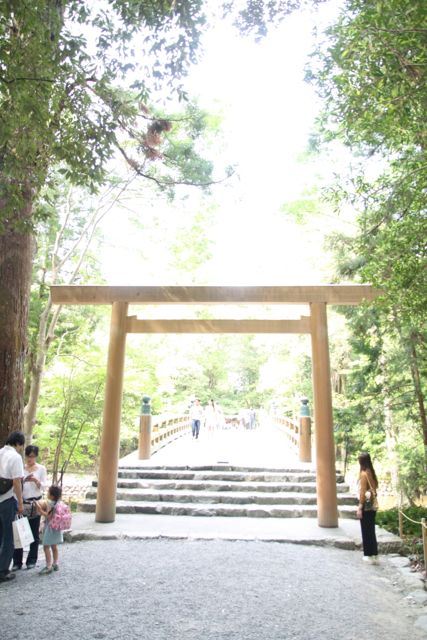 ブログ写真