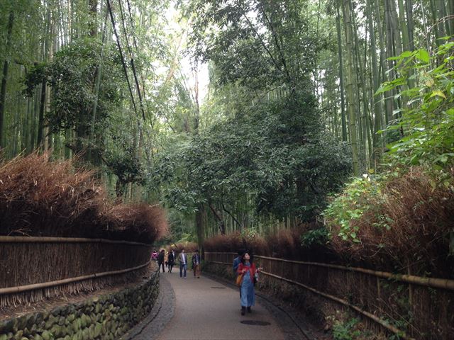 ブログ写真