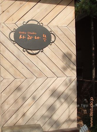 ブログ写真