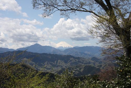 ブログ写真