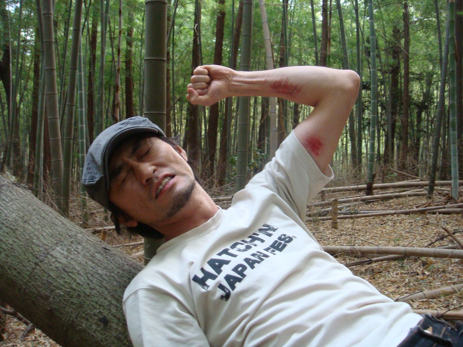 ブログ写真