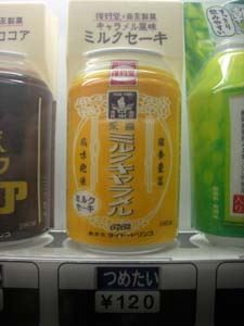 ブログ写真