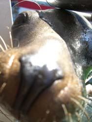 ブログ写真