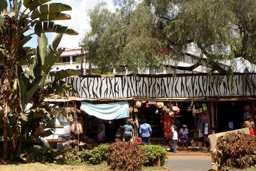 ブログ写真