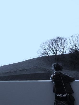 ブログ写真
