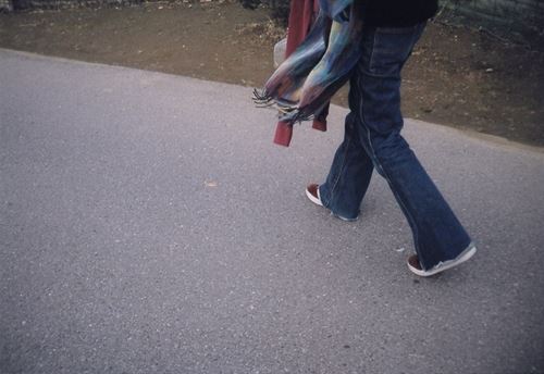 ブログ写真