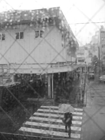 ブログ写真
