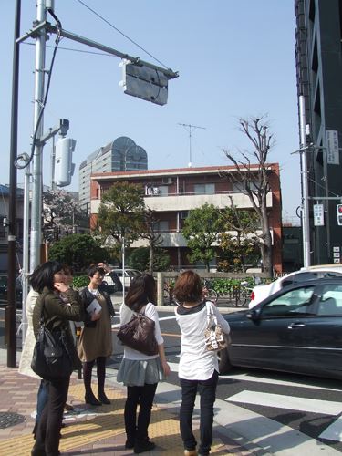 ブログ写真