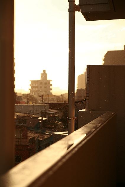 ブログ写真