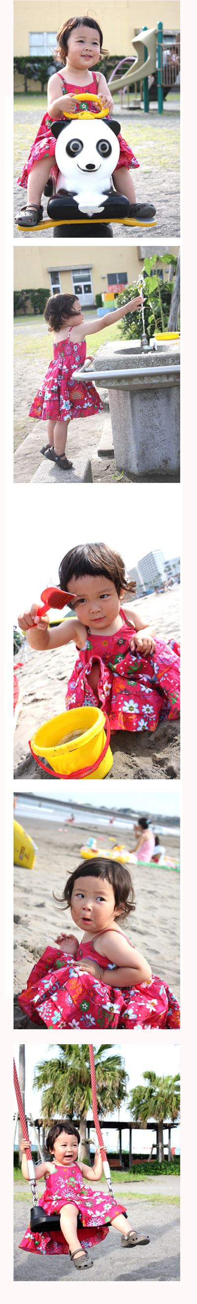 ブログ写真