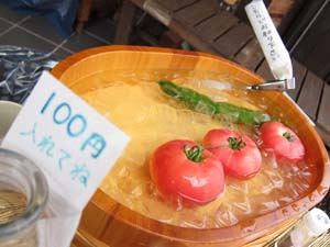 ブログ写真
