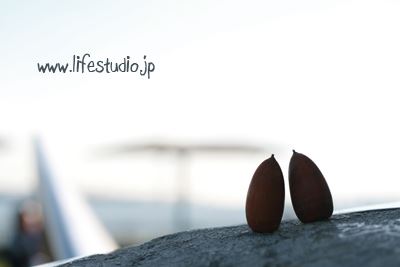 ブログ写真