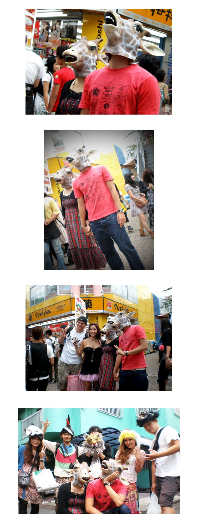 ブログ写真