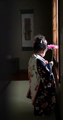 ブログ写真