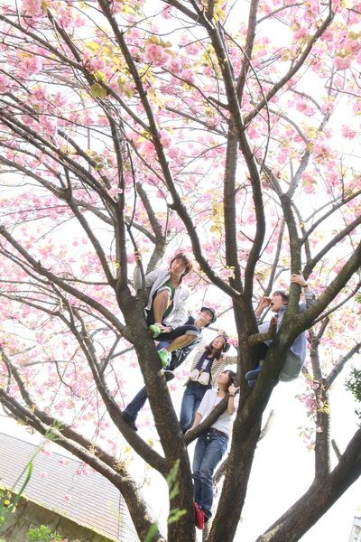 ブログ写真