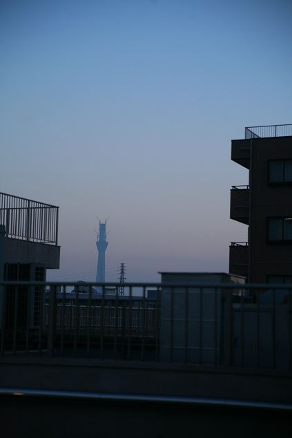 ブログ写真