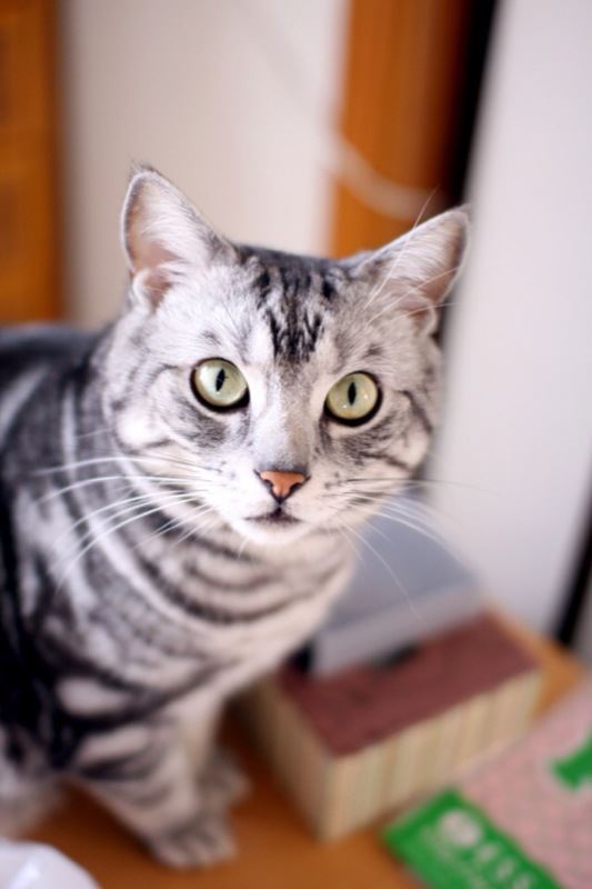 ブログ写真