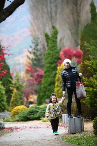 ブログ写真