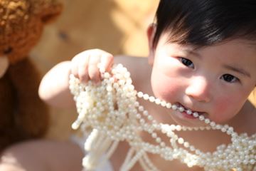 ブログ写真