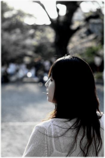ブログ写真