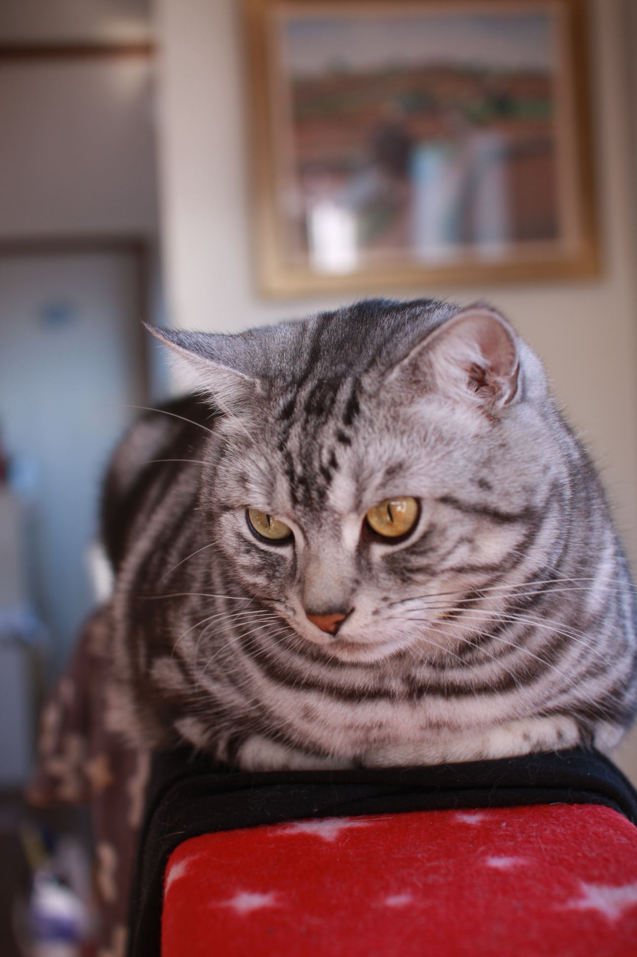 ブログ写真