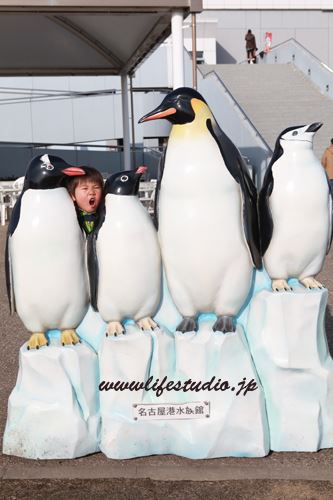 ブログ写真