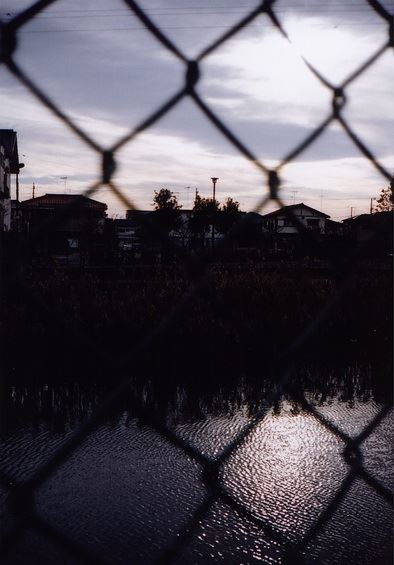 ブログ写真
